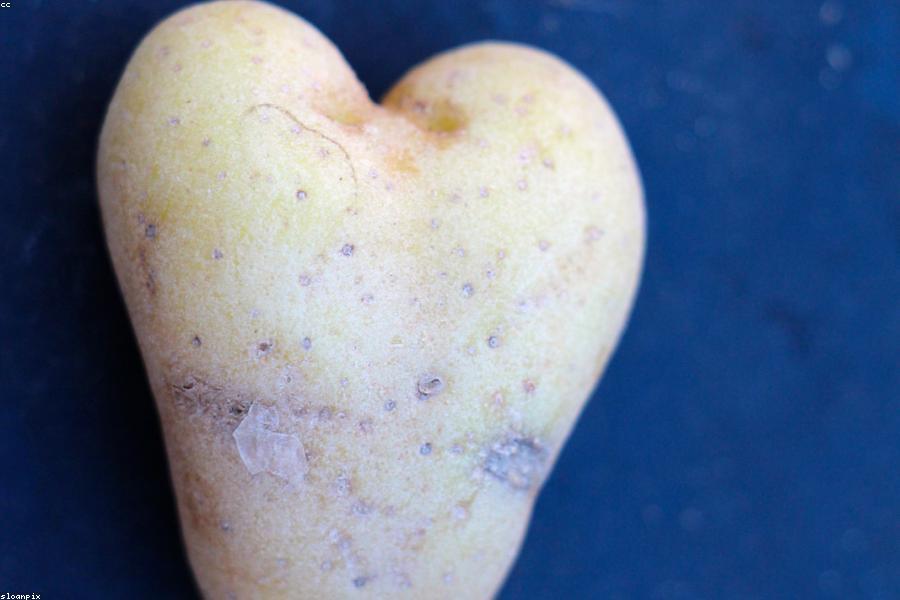 The Basics of a Heart-Healthy Diet