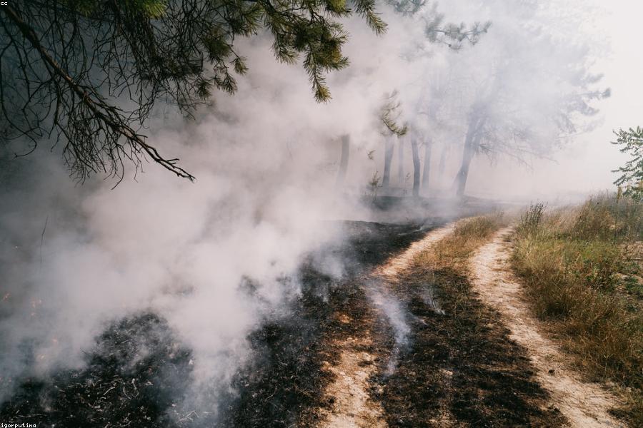The Case for Slow Living in a Fast World