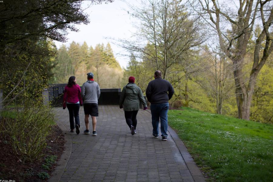 The Quiet Power of a Daily Walk