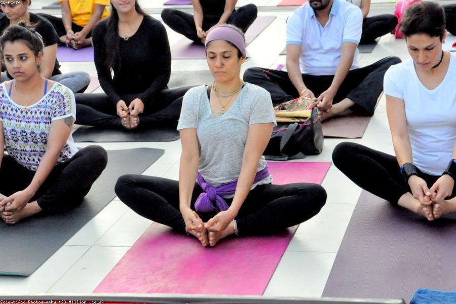 Yoga for Beginners: 6 Poses to Start Today
